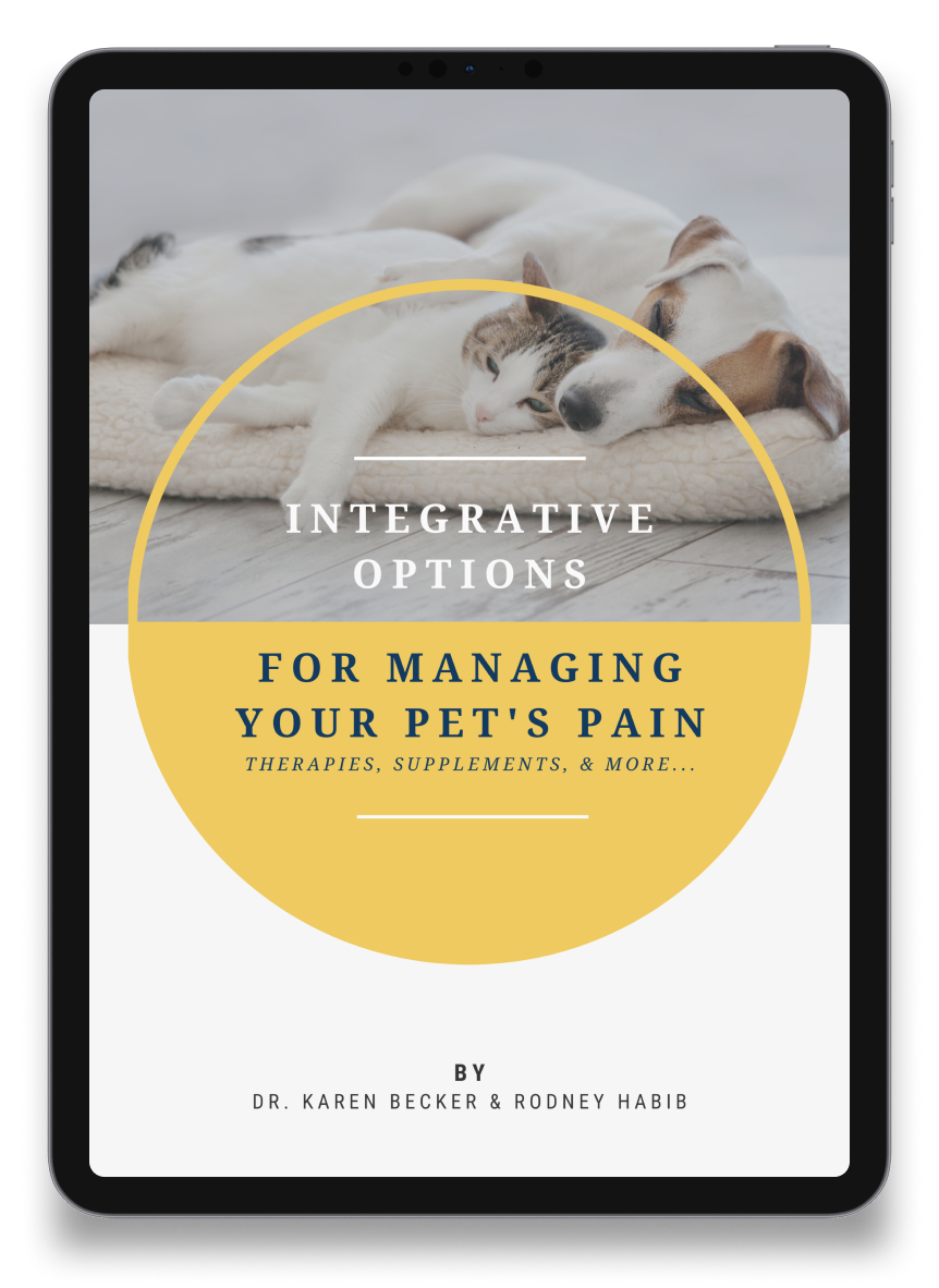 Integrative Options for Managing Your Pet’s Pain